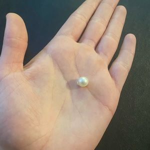 🤍🌊AUTHENTIC UNMODIFIED INTACT AKOYA PEARL🌊🤍